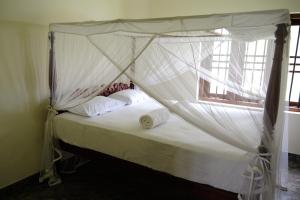 Slow Living Guesthouse and Hostel