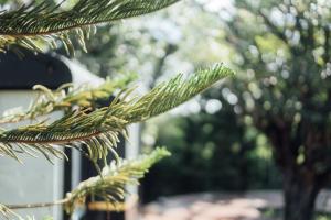 LA COCOTTE VILLA & FARM KHAO YAI