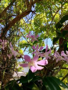 VN45 Villa in Ahangama