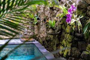 Ubud Essenzia - Private pool and Authentic Experience