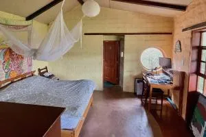 Artists Escape! - 比尔卡班巴