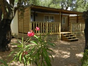 Campings Camping La Vetta : photos des chambres