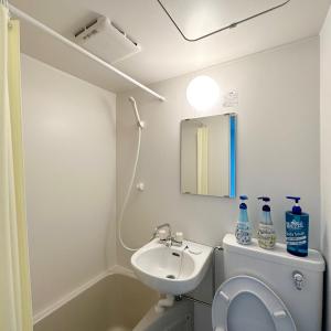 PLAZA SINJUKU Cozy Mansion