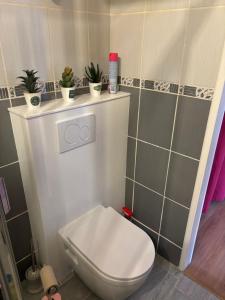 Appartements Studio avec cheminee et jardin : photos des chambres