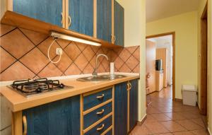 Pet Friendly Apartment In Stara Novalja With Wifi 
