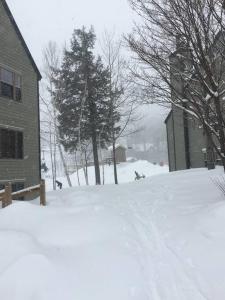 Okemo Mountain Getaway for Families with Pool Access
