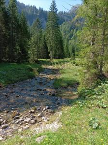 Ferienwohnung Ilona, Armin & Simon Funke
