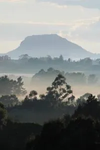 The Quails Nest Cottage - Omokoroa
