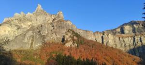 Chalets L'echappee Belle en Montagne - site location-chalet : photos des chambres