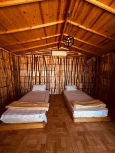 Anne Sinai best camp