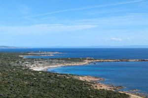 Appartements Magnifique 70m2 avec patio terrasse en bord de mer : photos des chambres