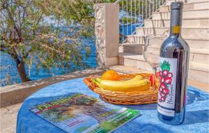 Awesome Home In Potomje With Wifi