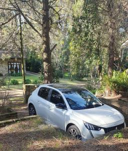 Cabaña en el bosque con quincho