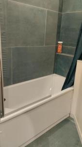 Sejours chez l'habitant Chambre avec grand bureau sdb partagee : photos des chambres