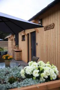 Jūras dzintars - Ikla