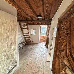 Natur Hof Schwarnlehen - Hintergern