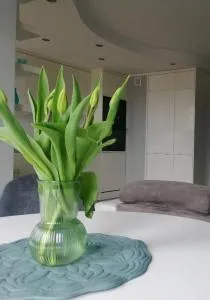 Apartament 35 - Pawłowo