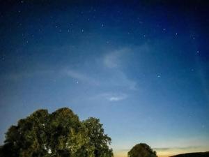 Bovenappartement in Winterberg met balkon en uitzicht over het bos