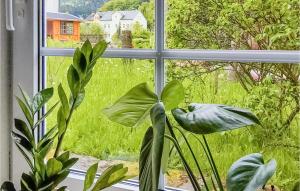 Nice Apartment In Bad Schandau- Kleing