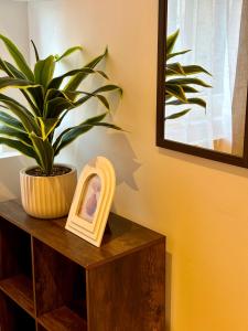 Appartements Le Petit Hainaut, hyper centre : photos des chambres