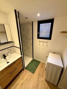 Appartements Le Petit Hainaut, hyper centre : Appartement 1 Chambre