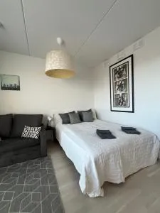 Comfort&Cozy Studio near Metro - Kvisbacka