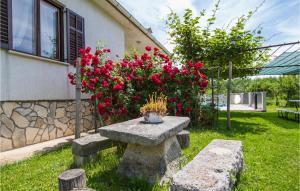 3 Bedroom Beautiful Home In Nedescina 