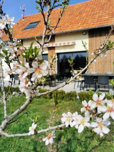 Maisons de vacances Le Pti-Fernin, Gite de Sologne : photos des chambres