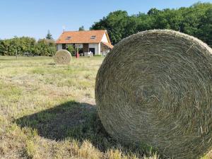 Maisons de vacances Le Pti-Fernin, Gite de Sologne : photos des chambres