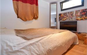 Appartements Lovely Apartment In Pujaut With Wifi : photos des chambres