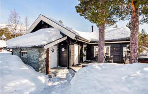 Gorgeous Home In Bjorli With Wifi
