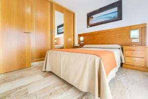 Apartment with Terrace room in Hotel Apartamentos Loto Conil