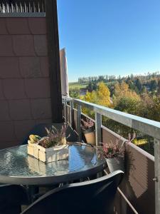 Harzlicht - Dein Basislager für Urlaub und Abenteuer im Oberharz