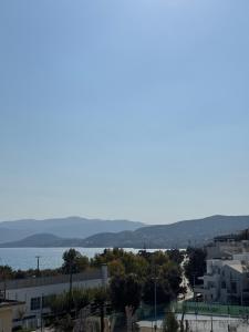 Amazing Penthouse next to the sea!