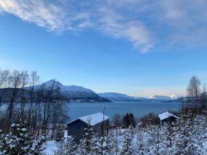 Northern Lights Haven