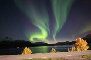 Northern Lights Haven