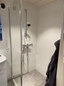 Northern Lights Haven