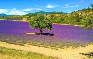 Maisons de vacances Amazing Home In Mazan With Kitchen : photos des chambres