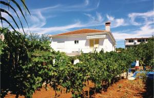 Nice Apartment In Pula With Wifi