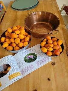 Bulle de campagne à Saint Benoit la Forêt