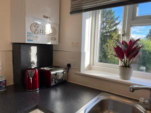 Elegant Serviced Apartment with Parking in Oxford