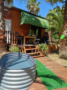 The Farmhouse Palm Tree Cabin