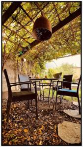 Appartements O Jardin Secret : photos des chambres