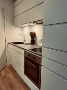 Cozy Flats Silkeborg - S2