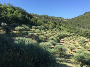 Agriturismo La Fonte