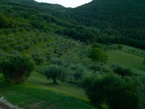 Agriturismo La Fonte