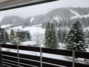 Studio pistes La Bresse Hohneck