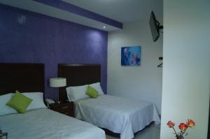Hotel Casa Palomino