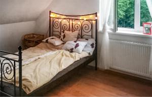 Gorgeous Home In Kotkowo With Wi-Fi