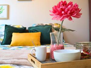 Appartements Studio en plein centre de Saint-Omer - a 5 min de la gare, parking gratuit : photos des chambres